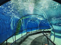 -上海海洋水族馆