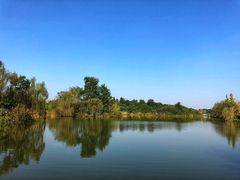 -白鹭湾湿地公园