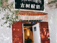 门面-古树酸奶(八廓南街店)