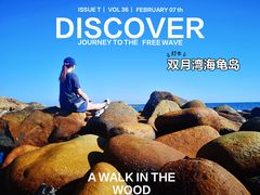 -广东惠东海龟国家级自然保护区