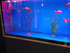 -蜀锦堂·川味现炒(襄阳武商汇店)