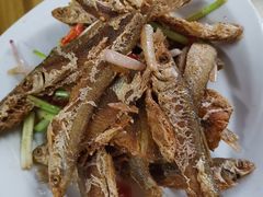 -芦茨金富饭庄·25年老字号·专做稻草鸡