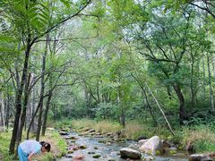 -玉渡山自然风景区