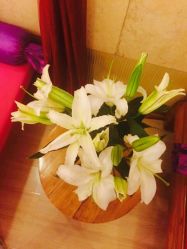 -FineYoga梵音瑜伽·普拉提