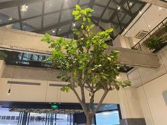 -大树餐厅(红旗街万达店)