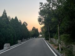 -佛慧山