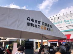 -证大大拇指广场(芳甸路店)