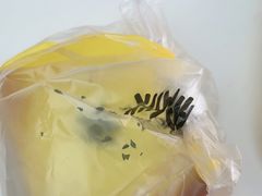 -味多美蛋糕(大兴店)
