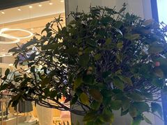 -比斯特上海购物村精品奥特莱斯