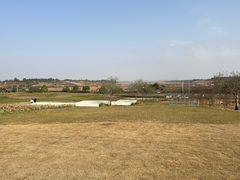 -空港花田景区