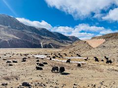 -比如骷髅墙景区