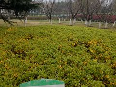 -白塘生态植物园