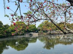-无锡蠡湖国家湿地公园-蠡园
