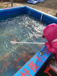 -萌宠亲子动物乐园(槐房万达店)