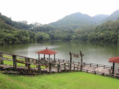 -雁南飞茶田景区