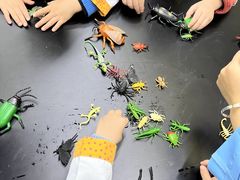 -神奇科学家STEAM科学实验科创赛事机器人编程逻辑思维MadScience(长宁来福士校区)