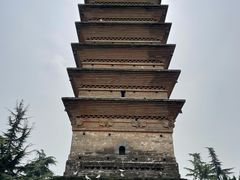 -洛阳白马寺
