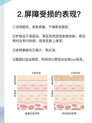 -Cream88颜皮肤管理中心