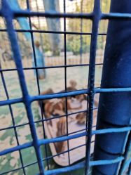 -萌宠亲子动物乐园(槐房万达店)