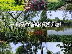 -晓港公园