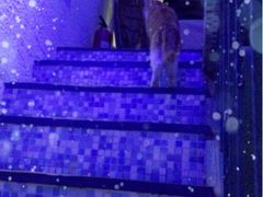 iphone_upload_pic-Sirena海妖日咖夜酒