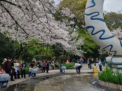 -杭州少年儿童公园