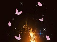 -前小桔亲子创意农场·草莓采摘·露营烧烤