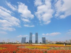-映月湖中央公园