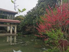 -中国茶叶博物馆(双峰馆区)
