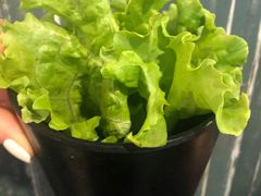 -仓库烤肉(绿园店)