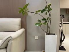 -维意定制(京基百纳广场沙井店)