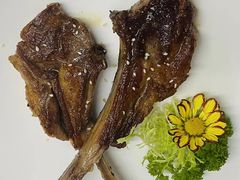 -科尔海悦酒店樱之河日本料理(清河东路店)