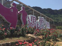 -密云玫瑰情园