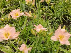 -汉长安城未央宫国家考古遗址公园