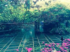 iphone_upload_pic-柏联酒店