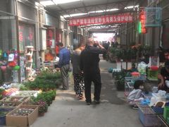 -中环花鸟鱼虫市场