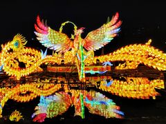 -武汉园博园(武汉自然博物馆)