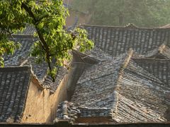 -杨家堂村