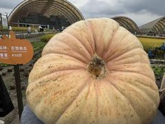 -中国天府农业博览园