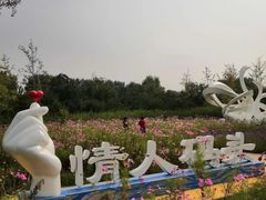-东郊湿地公园