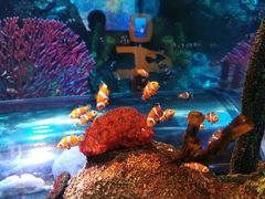 -沈阳海洋探索中心