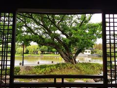 -江心屿景区