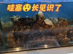 -丁字口海鲜热炒·烧烤大排档