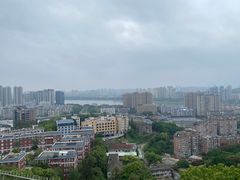 -福道