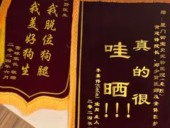 -御宝贝24h宠物医院·转诊中心·CT核磁血透中心(厦门总院)