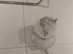 -怪兽屋·羊驼·猫咖·狗咖(俊华广场店)