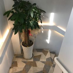 -茶发Salon·烫发染发理发