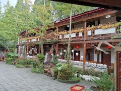 -青城甲(青城山店)