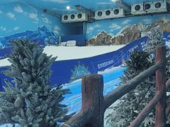 -世界之窗阿尔卑斯冰雪世界