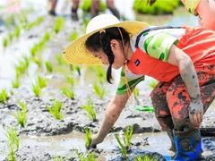 -阿妮亚少儿美术书法(望京店)